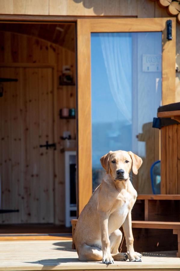 Barnhorn Glamping Vila Hooe Exterior foto